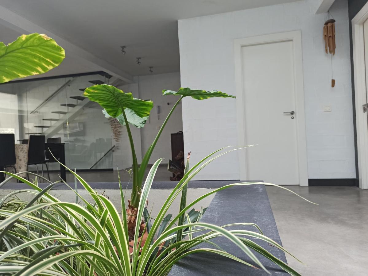 Loft Carrasketa Apartment Alfafara Exterior foto